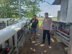 Polsek Candi Laksanakan Pengecekan Program Ketahanan Pangan Ternak Ayam Petelur di Desa Sugiwaras