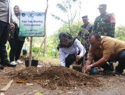 Sejak 2020 Banyuwangi Tanam 1,2 Juta Pohon, Bupati Ipuk Terus Kolaborasi Cegah Lahan Kritis Lewat Penghijauan