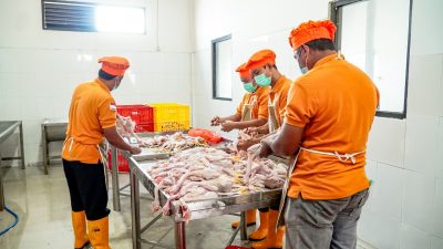 Pemkab Lamongan Jalin Kerja Sama Pemanfaatan Rumah Potong Hewan Unggas