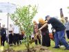 Gubernur Khofifah Tanam Pohon Maja di IKN, Simbol Menuju Jatim Gerbang Baru Nusantara