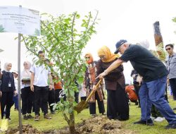 Gubernur Khofifah Tanam Pohon Maja di IKN, Simbol Menuju Jatim Gerbang Baru Nusantara