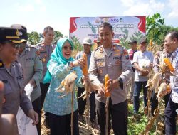 Bersinergi Menuju Indonesia Berdaulat Pangan