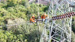 PLN UIT JBM Dukung Proyek Strategis Nasional Tol Probolinggo–Banyuwangi