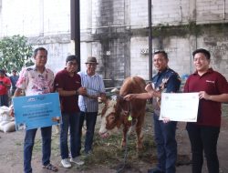 Pemkab Bekasi Salurkan Puluhan Hewan Kurban CSR dari Perusahaan