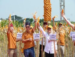 Wakil Bupati Kediri Hadiri Grand Launching Benih Jagung Hibrida “NK Perkasa Sakti” dari Syngenta
