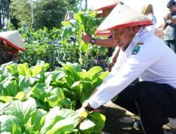 Hari Kridha Pertanian, Wujudkan Pertanian Magetan Lebih Berkembang