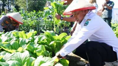 Hari Kridha Pertanian, Wujudkan Pertanian Magetan Lebih Berkembang