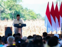 Sebanyak 80 Ribu Kopdeskel Merah Putih, Motor Presiden untuk Gerakkan Ekonomi Desa Di Luncurkan
