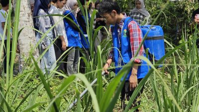 Mahasiswa KKN PSDKU UB Kediri Ajak Warga Terapkan Teknologi Tepat Guna Dalam Mengendalikan Hama Embug Berbasis Agen Hayati Untuk Mendukung Pertanian Berkelanjutan di Desa Gondang