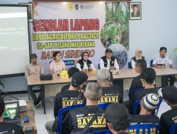 Lumajang Serius Garap Potensi Pisang, Bupati Tegaskan Target Rebut Kembali Identitas Kota Pisang