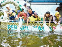 PJT I Tebar 30.000 Benih Ikan di Telaga Ngebel Ponorogo