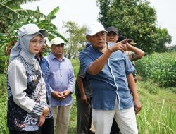 Wali Kota Kediri Tinjau Kesiapan Lahan Untuk Urban Farming di Dua Kelurahan