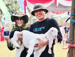 Ekonomi Tumbuh dari Akar Rumput, Susu Kambing Senduro Jadi Pengungkit Desa