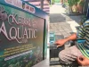 Kediri Aquatic Digelar 25 dan 26 April 2026, Ikuti Lomba Fotografi hingga Kontes Ikan Hias