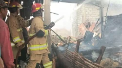 Bakar Bekas Jerami, Warga Jongbiru Kediri Malah Kehilangan Kandang Ternak, Habis Dilahap Api