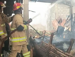 Bakar Bekas Jerami, Warga Jongbiru Kediri Malah Kehilangan Kandang Ternak, Habis Dilahap Api