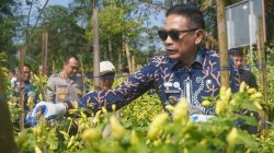 Saprodi Pertanian Disalurkan, Perkuat Ketahanan Pangan Perkotaan