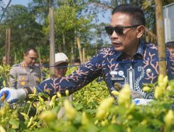 Saprodi Pertanian Disalurkan, Perkuat Ketahanan Pangan Perkotaan