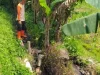 Irigasi Meluap Akibat Hujan Deras, Plengsengan Teknis di Kelurahan Temas Batu Ambrol 6 Meter