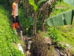 Irigasi Meluap Akibat Hujan Deras, Plengsengan Teknis di Kelurahan Temas Batu Ambrol 6 Meter