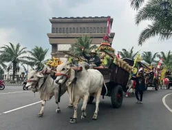 Bangkit Setelah Pandemi, Kontes Ternak Sapi Kabupaten Kediri Bakal Digelar Kembali