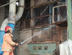 Pabrik Triplek di Desa Tertek Pare Terbakar, Kerugian Capai Rp 50 Juta