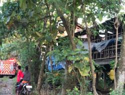 Kandang Ayam di Semen Kediri Terbakar, Diduga Akibat Korsleting Listrik