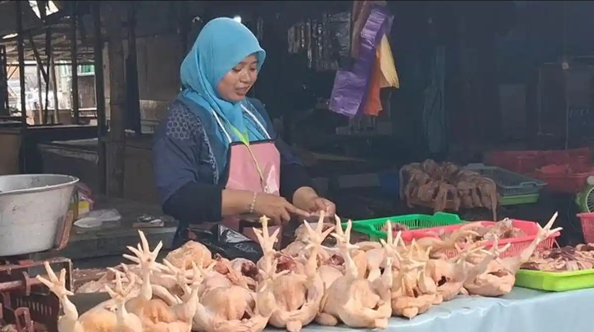 Harga Ayam di Kediri Naik Turun, Tembus Rp36 Ribu per Kg karena Stok Tidak Stabil