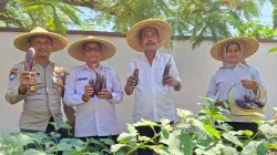 Cabdin Pendidikan Kediri Panen Raya Terong, Wujudkan Program Ketahanan Pangan