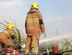 Lahan Tebu di Kandat Kediri Terbakar, Kerugian Ditaksir Rp 15 Juta