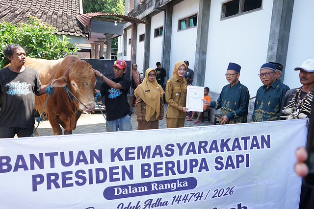 Salurkan Sapi Kurban Presiden dan Pemkot, Mbak Wali Harap Bermanfaat bagi Masyarakat dan Bawa Kebahagiaan 