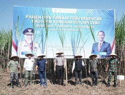Sukseskan Swasembada Gula, Pelaksanaan Panen Tebu Program Bongkar Ratoon Tahun 2026 Resmi Dimulai