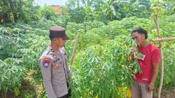 Sambangi Petani Singkong, Polsek Kangayan Berkomitmen Perkuat Ketahanan Pangan dari Sektor Desa